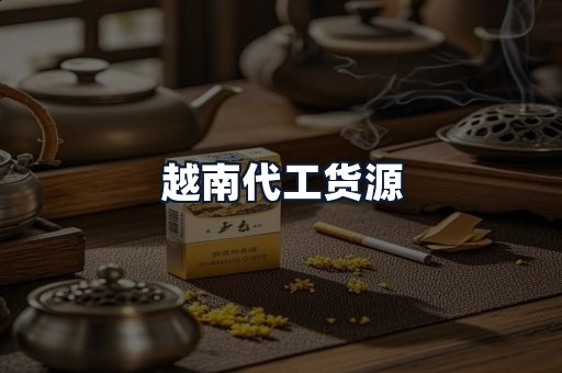 越南代工货源